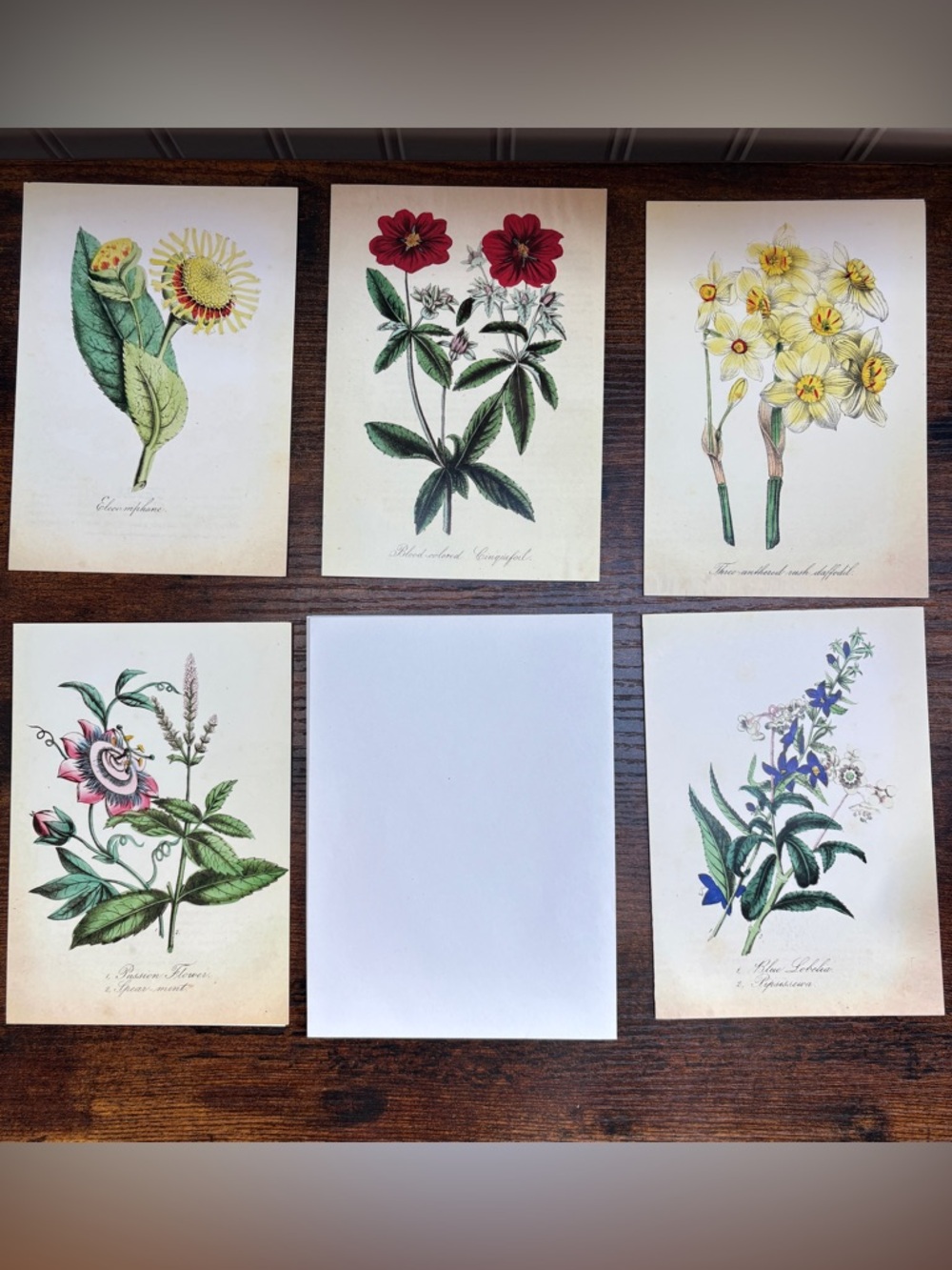 Botanical Floral Art Card Set - Red, Yellow, Green Accents